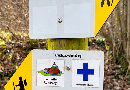 23-03-17 10-49-21 4881